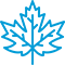 Maple leaf icon